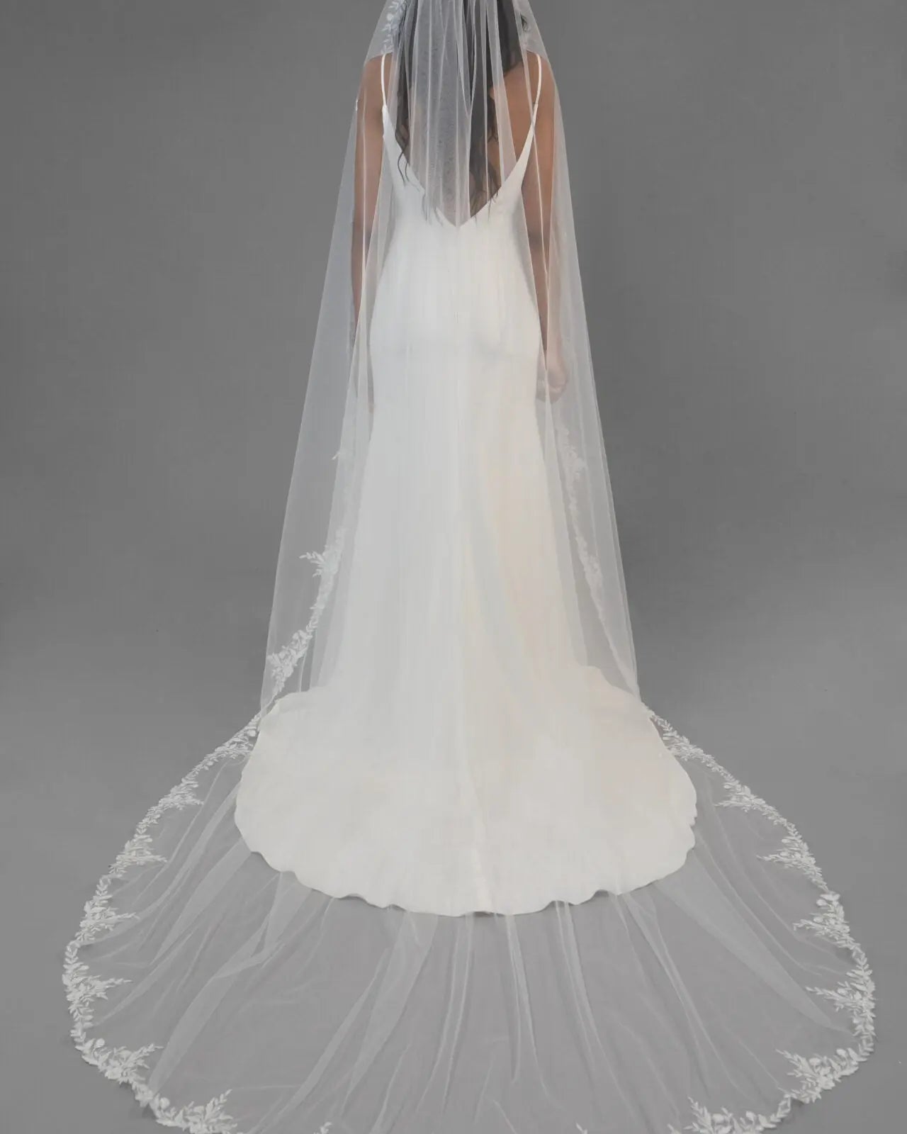 Lace Edge Veil | AVL0093 bridal-brilliance