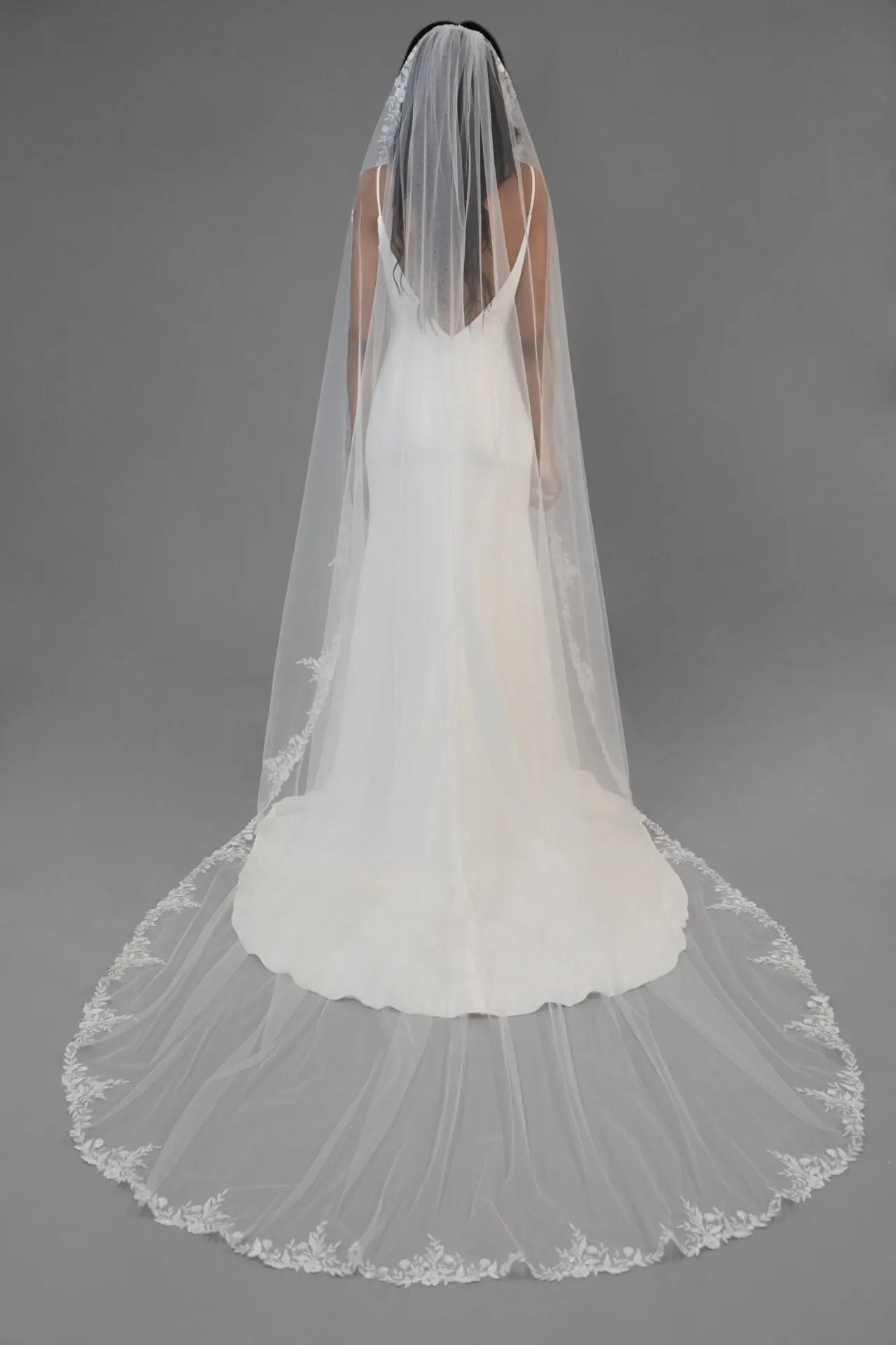 Lace Edge Veil | AVL0093 bridal-brilliance
