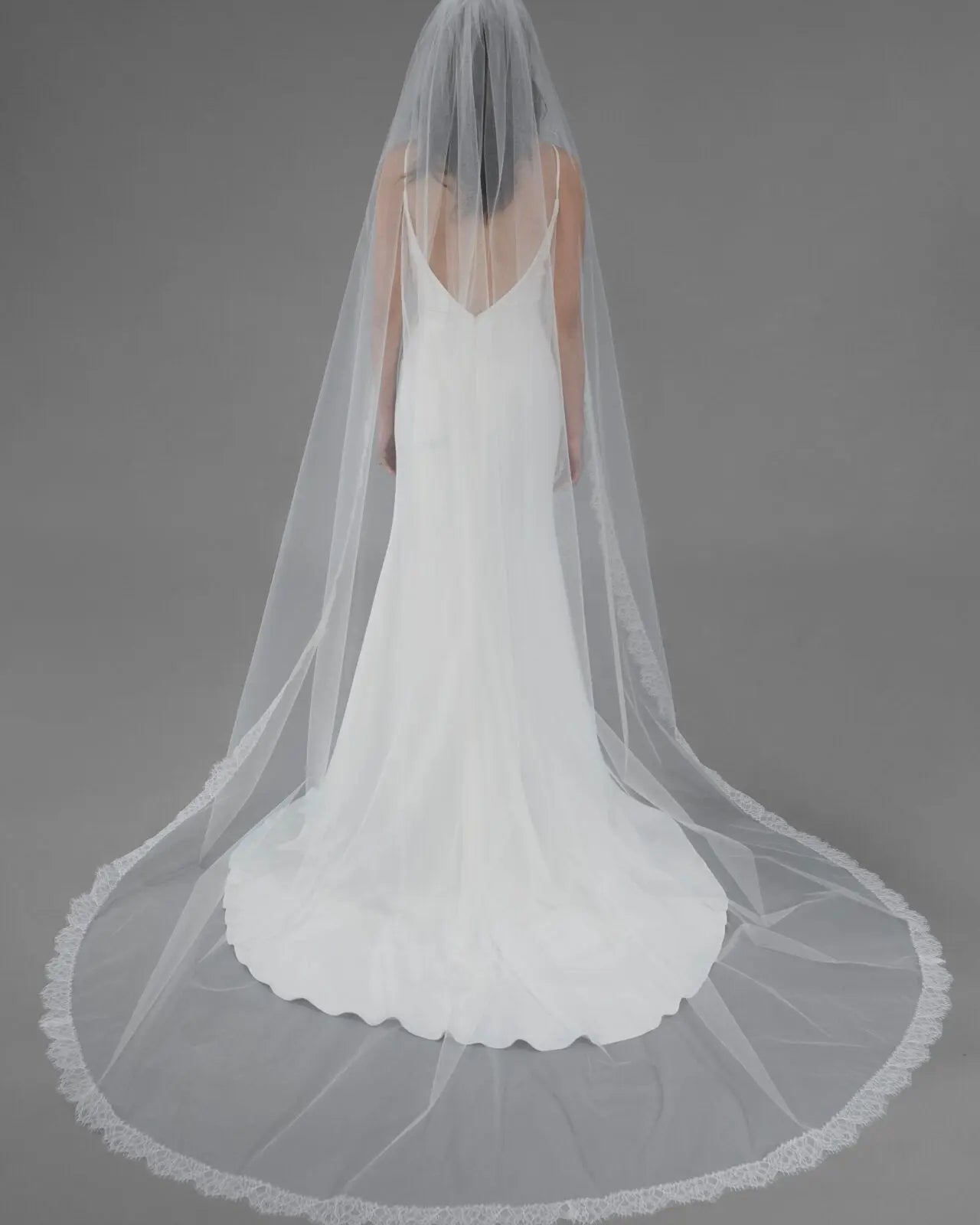 Chantilly Lace Edge Veil | AVL0111 bridal-brilliance