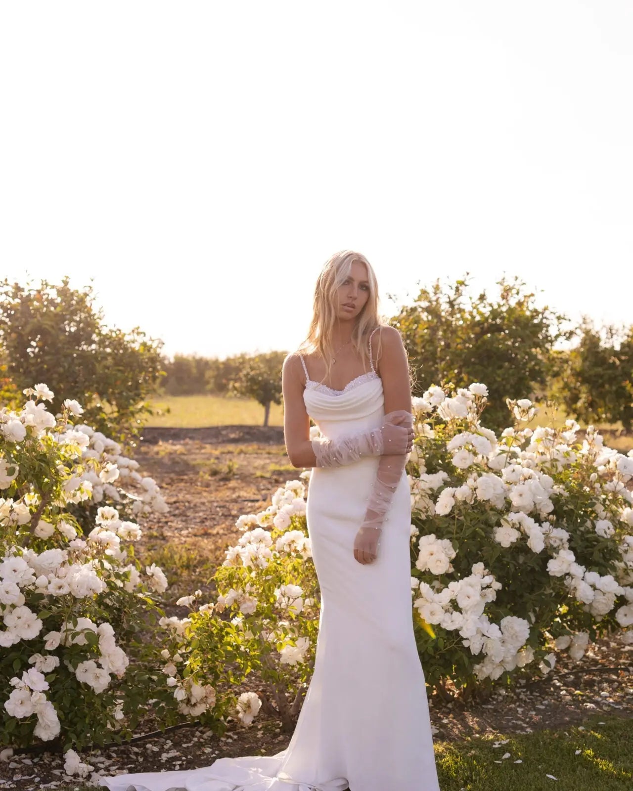 7831 | Stella York