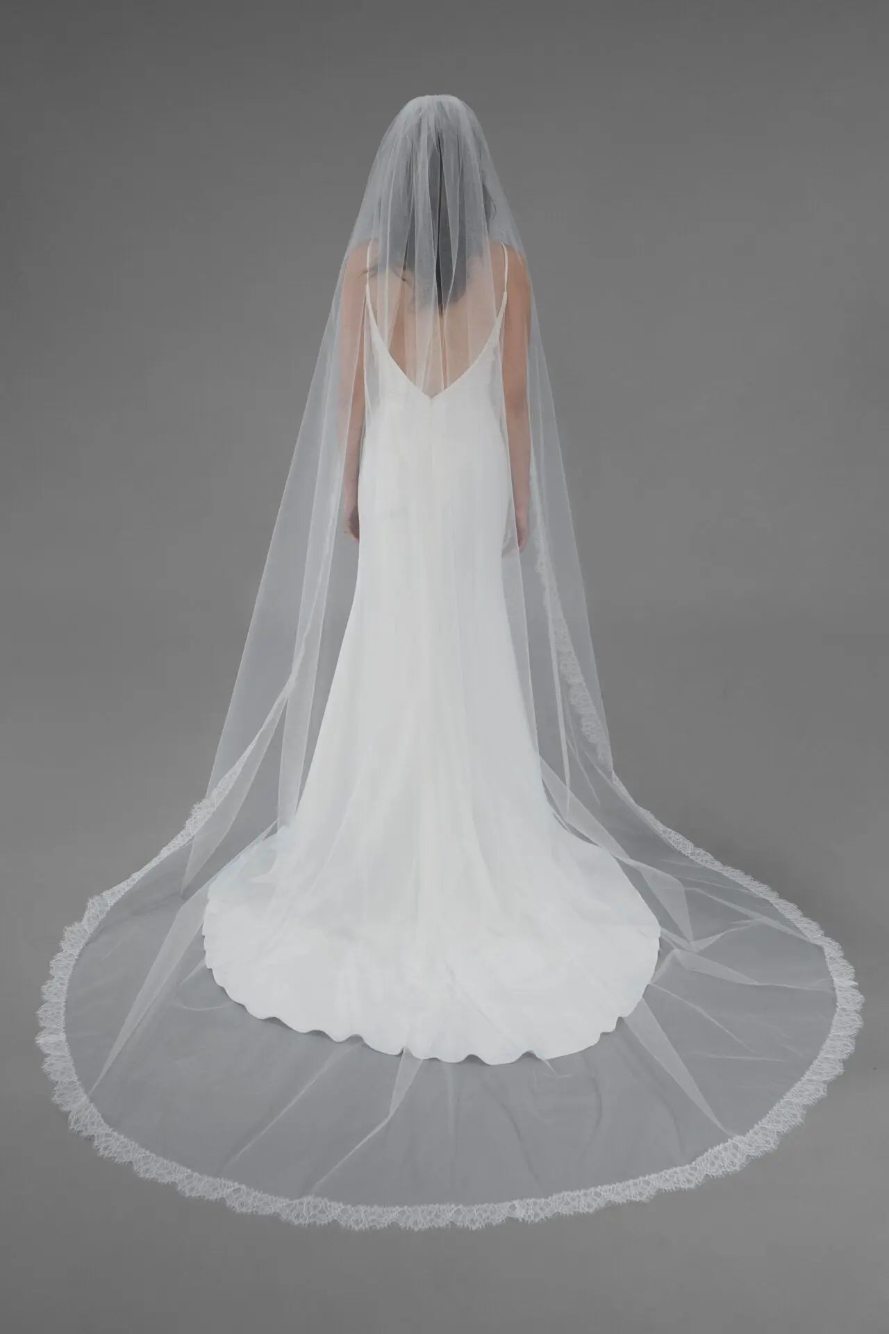 Chantilly Lace Edge Veil | AVL0111 bridal-brilliance
