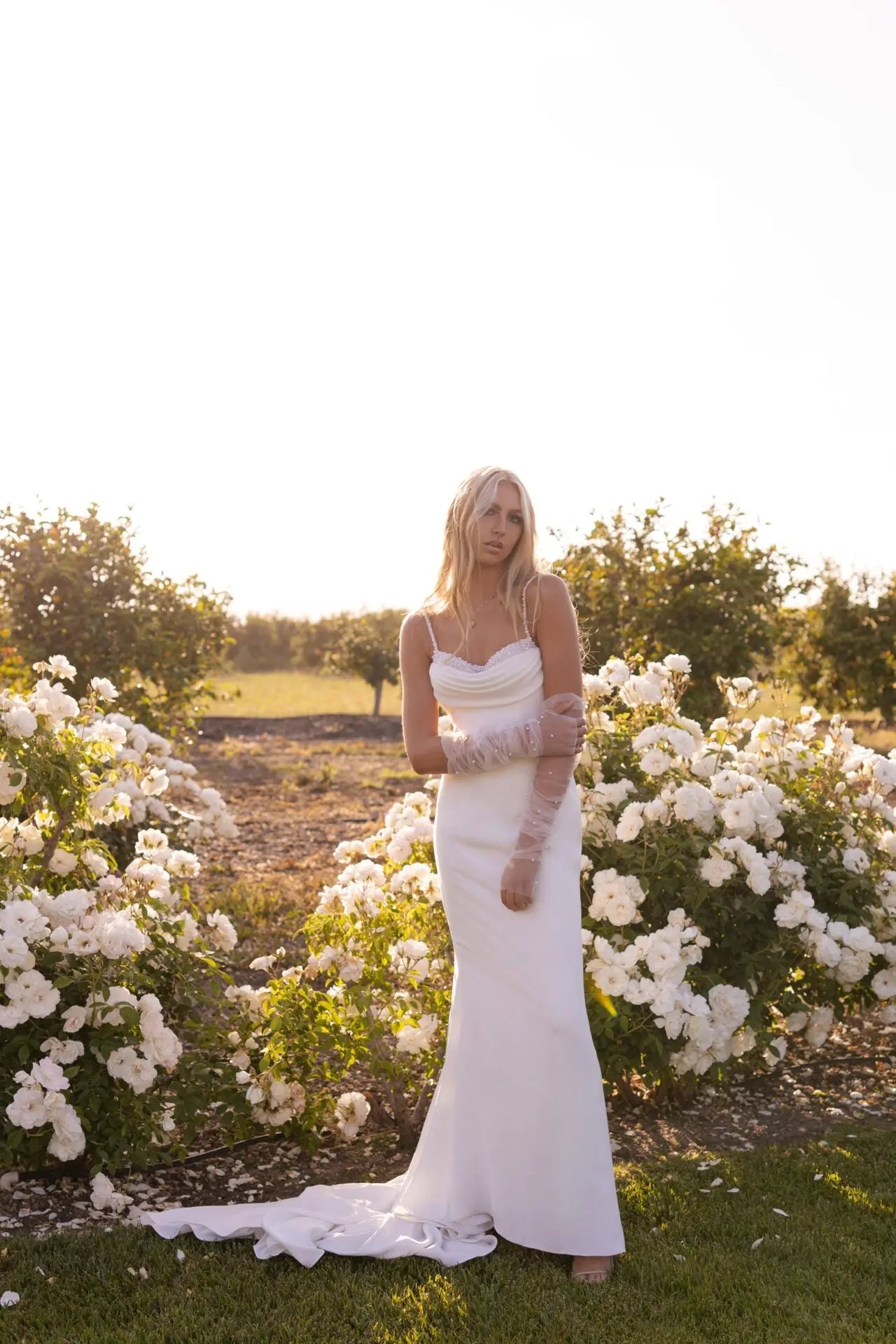 7831 | Stella York