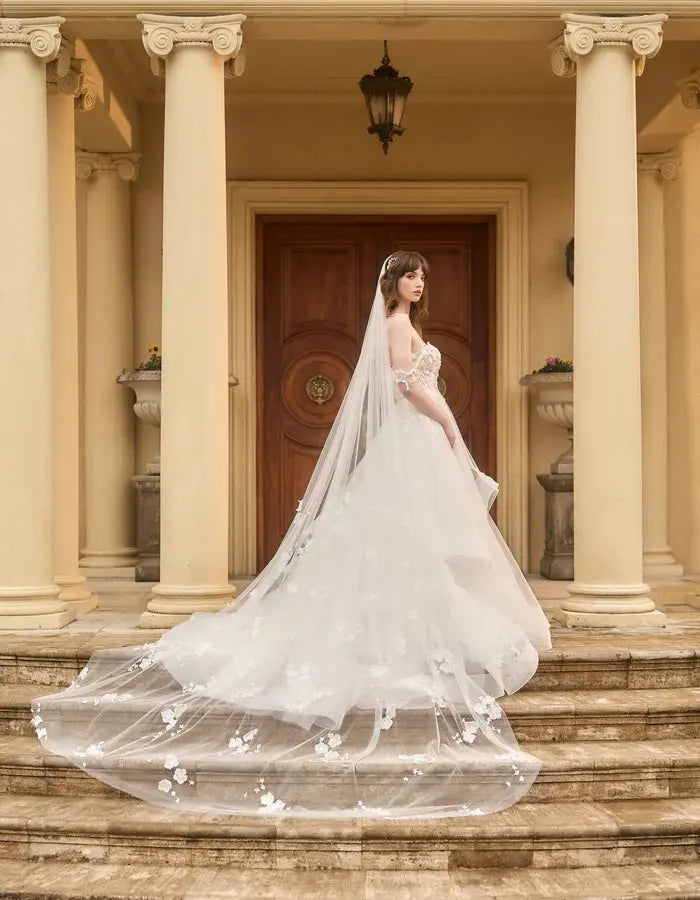 Sofia Veil
